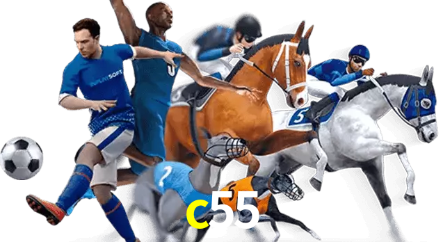 c55