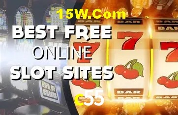 Sistemas de Segurança c55