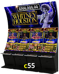 Premium Interface c55