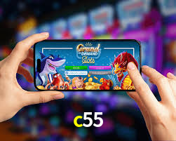 c55
