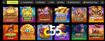 c55 login