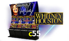 Experimente o Login Seguro Premium no c55