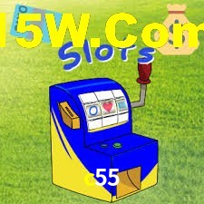 c55 login
